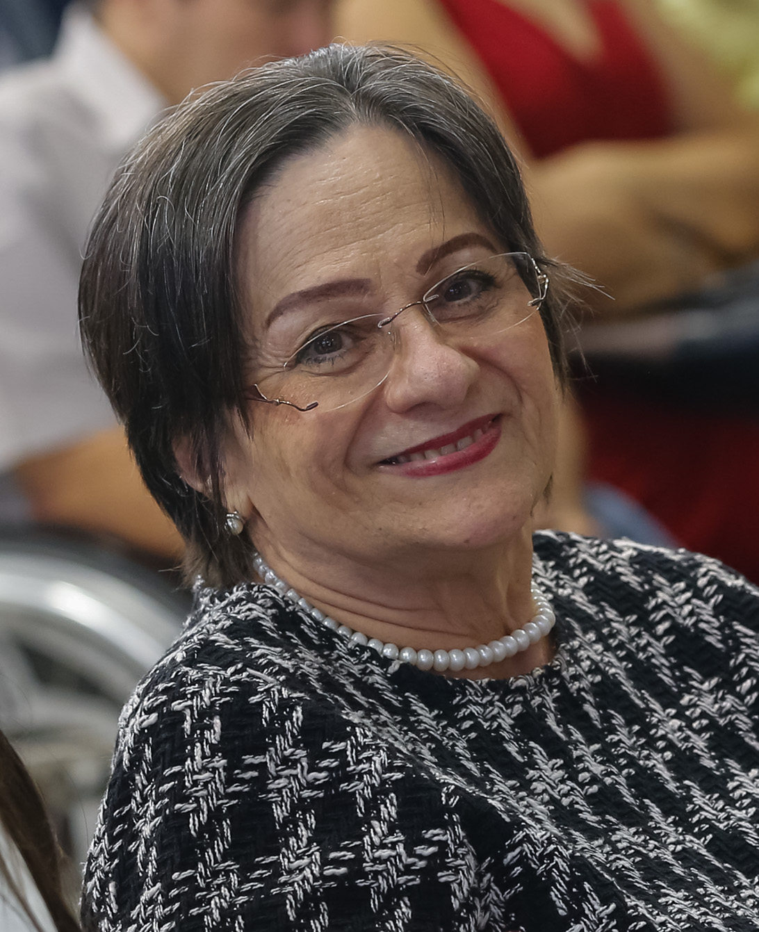 Lei Maria da Penha