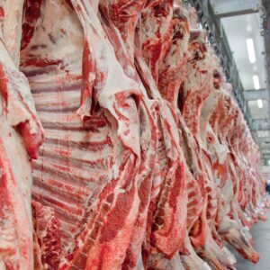 veto da UE à carne brasileira